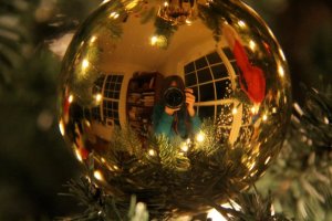 166485_495950822369_776932369_5844854_2252123_n