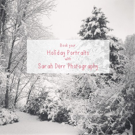 holiday portraits flyer