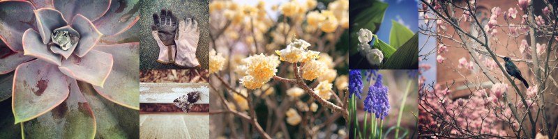 Instagram Spreadjpeg